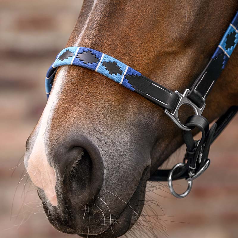 Chukka Stil Halfter in Leder - 0351