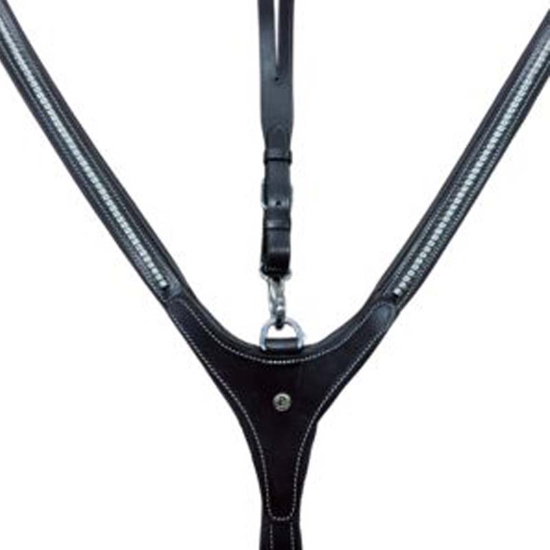 Pariani Englisch Brustpanzer mit Vernickelten Klammer - 2667