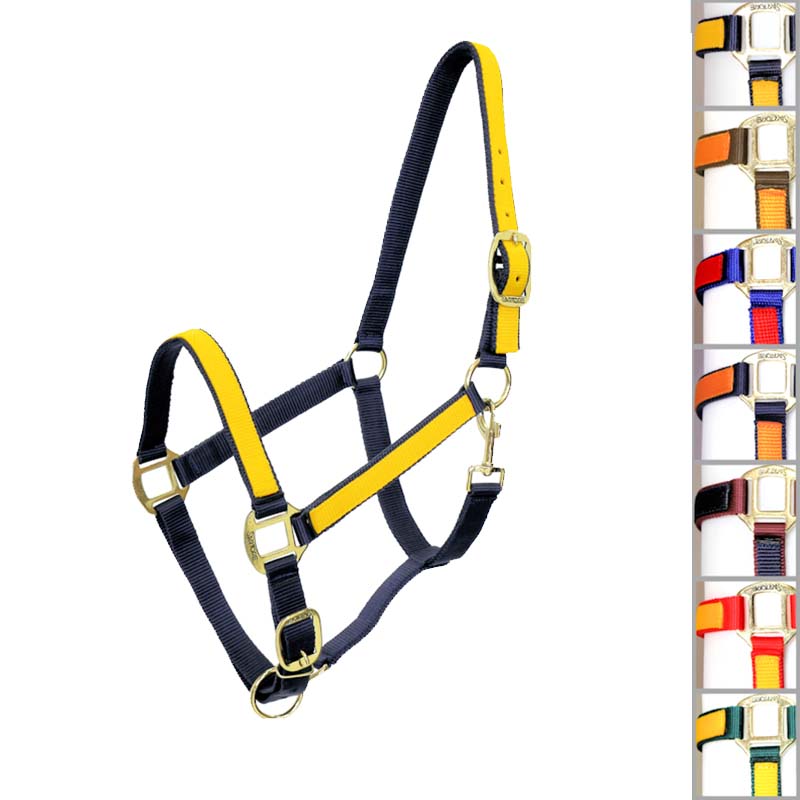 Zweifarbiger Synthetikhalfter mit Einsätzen - 0313