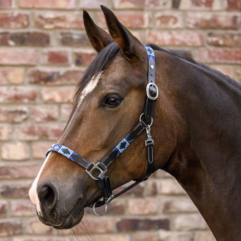 Chukka Stil Halfter in Leder - 0351