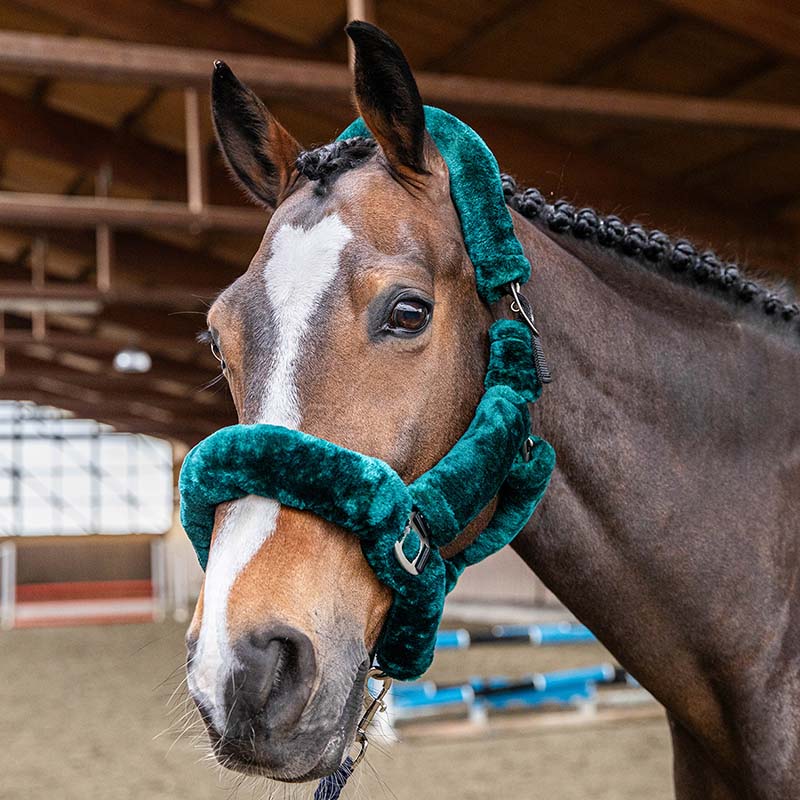 Weiches Pferdehalfter mit synthetischem Lammfellüberzug - 0314