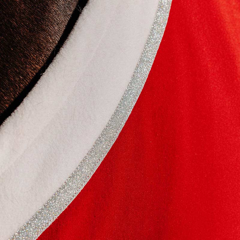 Fleece-Decke für Pferde Xmas Equithème - 9324