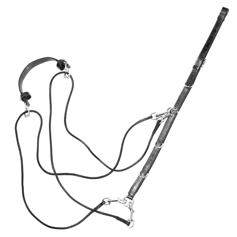 Leder gogue mit scheiben und leder backenstÜcke - 2693