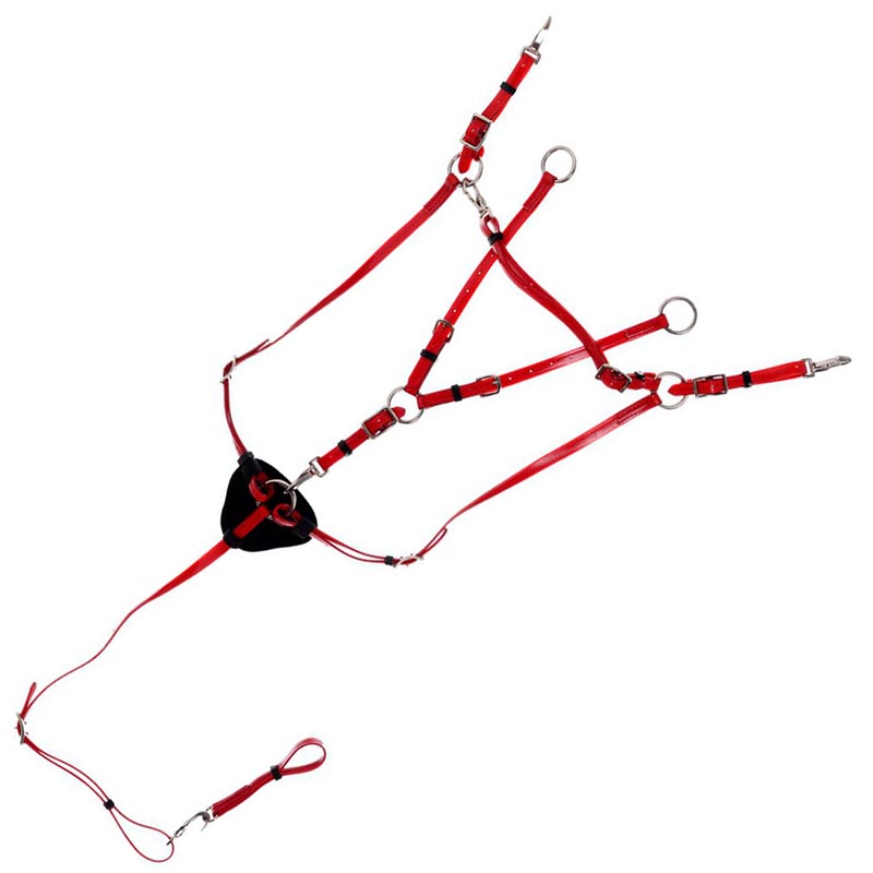 Daslo jagd martingal in weich-pvc - 2629