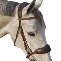 SCHUTZ FÜR BRIDLE GEL ACAVALLO