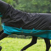 PADDOCK MIO HORSEWARE TURNOUT RUG 200 gr ALL IN ONE