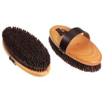 CURRY GROOMING STRIPHAIR DESHEDDING WERKZEUG GROOM DUSCHE