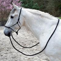 ROPE HALTER KOMPLETT MIT REINS UND KARABINER