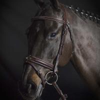 ENGLISCHE RAISED BRIDLE EQUILINE PREMIUM LINE MIT ZANGE