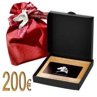 MYSELLERIA GESCHENKKARTE VON Euro 200.00 Weihnachtspaket 