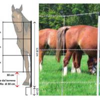 ELEKTRIFIZIERTE NET FÜR PFERDE UND KÄLBER 30 MT