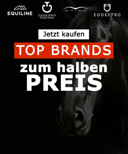 Black Friday-Rabatte auf Top-Reitsportmarken - Equiline, Equestro, Cavalleria Toscana, Animo und mehr